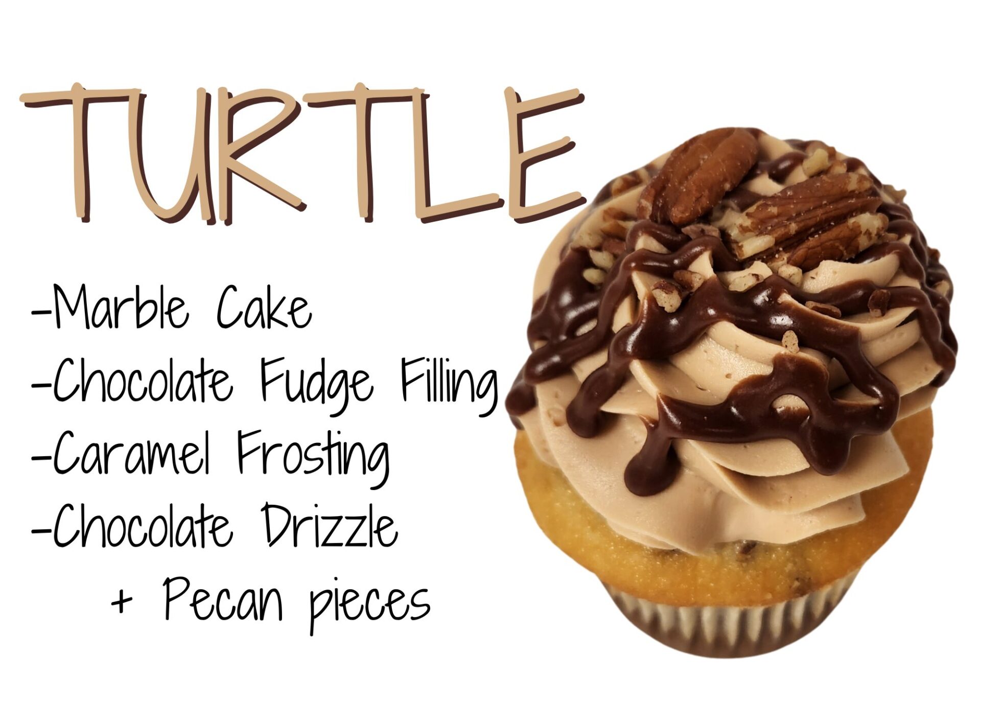 Turtle Cupcake Graphic