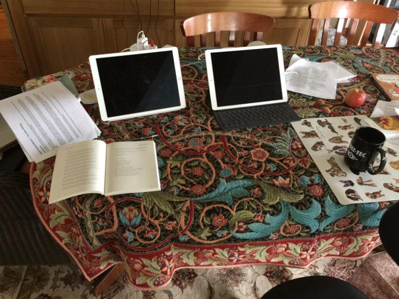 Bullerswood throw in Australia Bullerswood throw in Australia