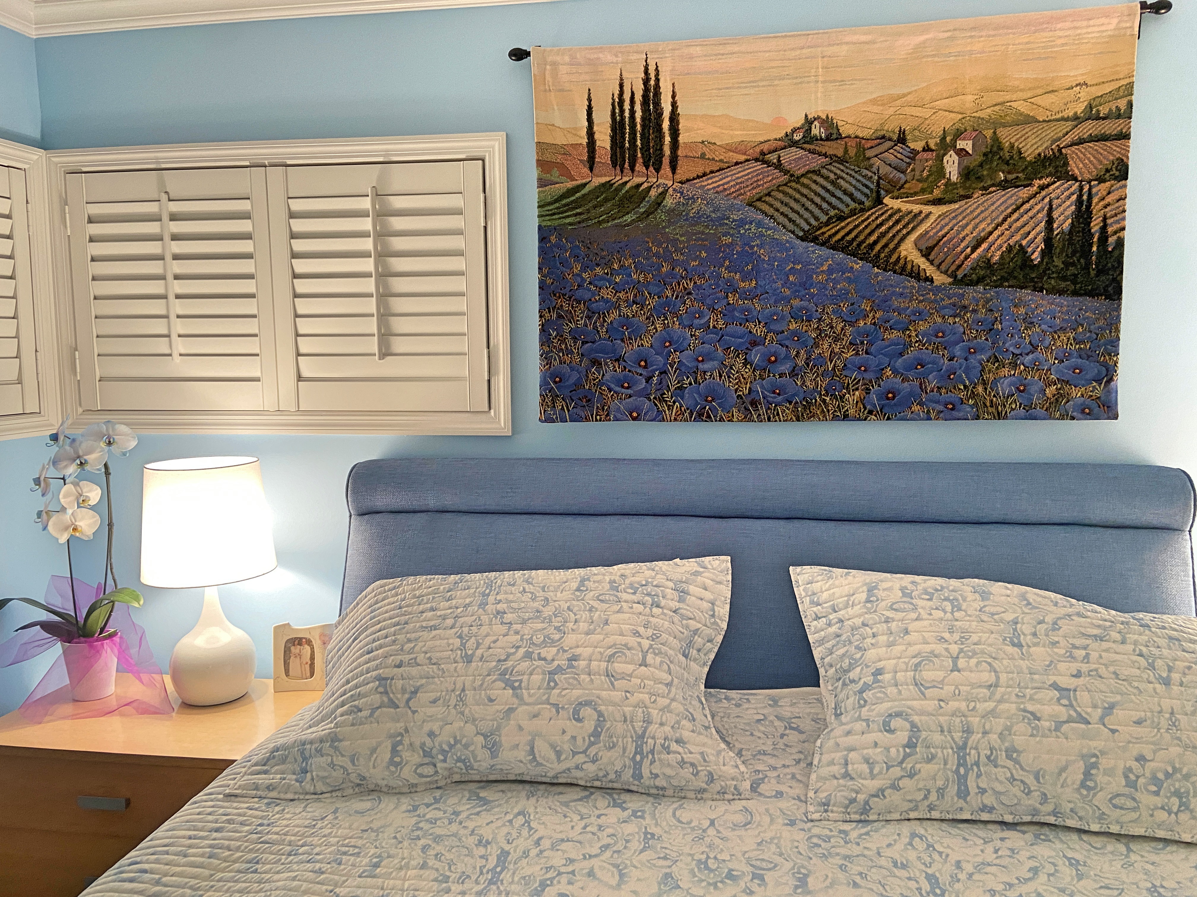 Blue Poppies in Tuscany